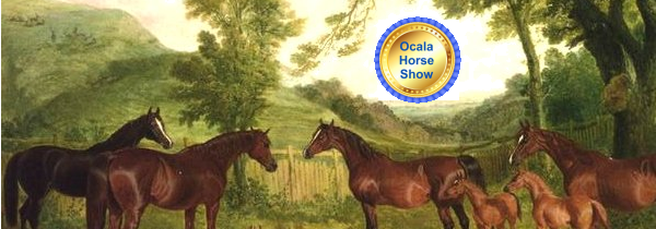 Ocala Horse Show
