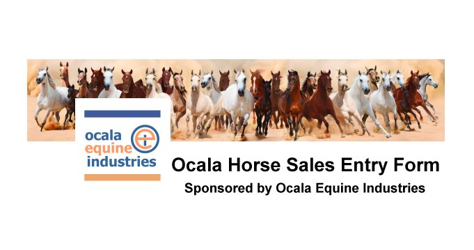 Ocala Horse Sales